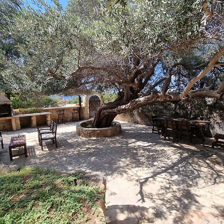 Olive Beach Villa 페이야 외부 사진