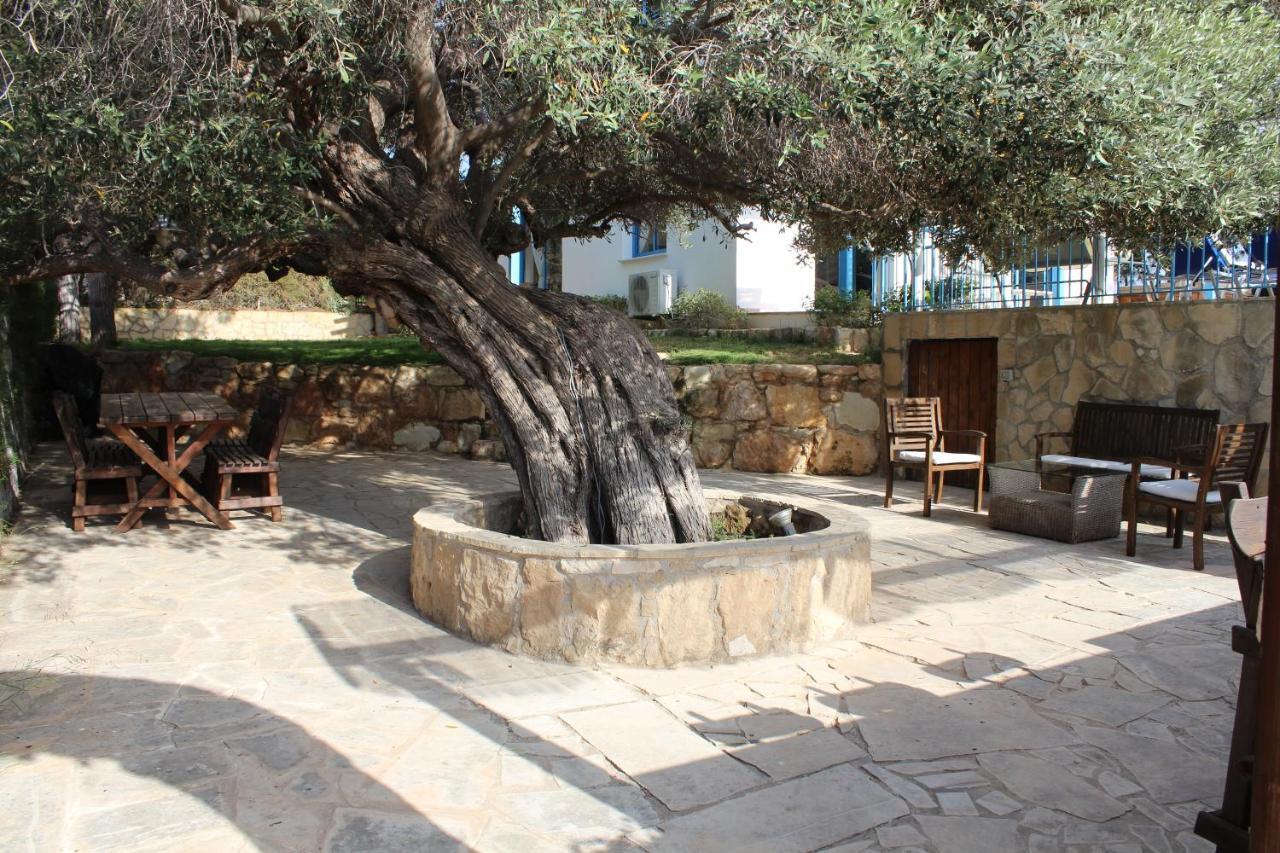 Olive Beach Villa 페이야 외부 사진