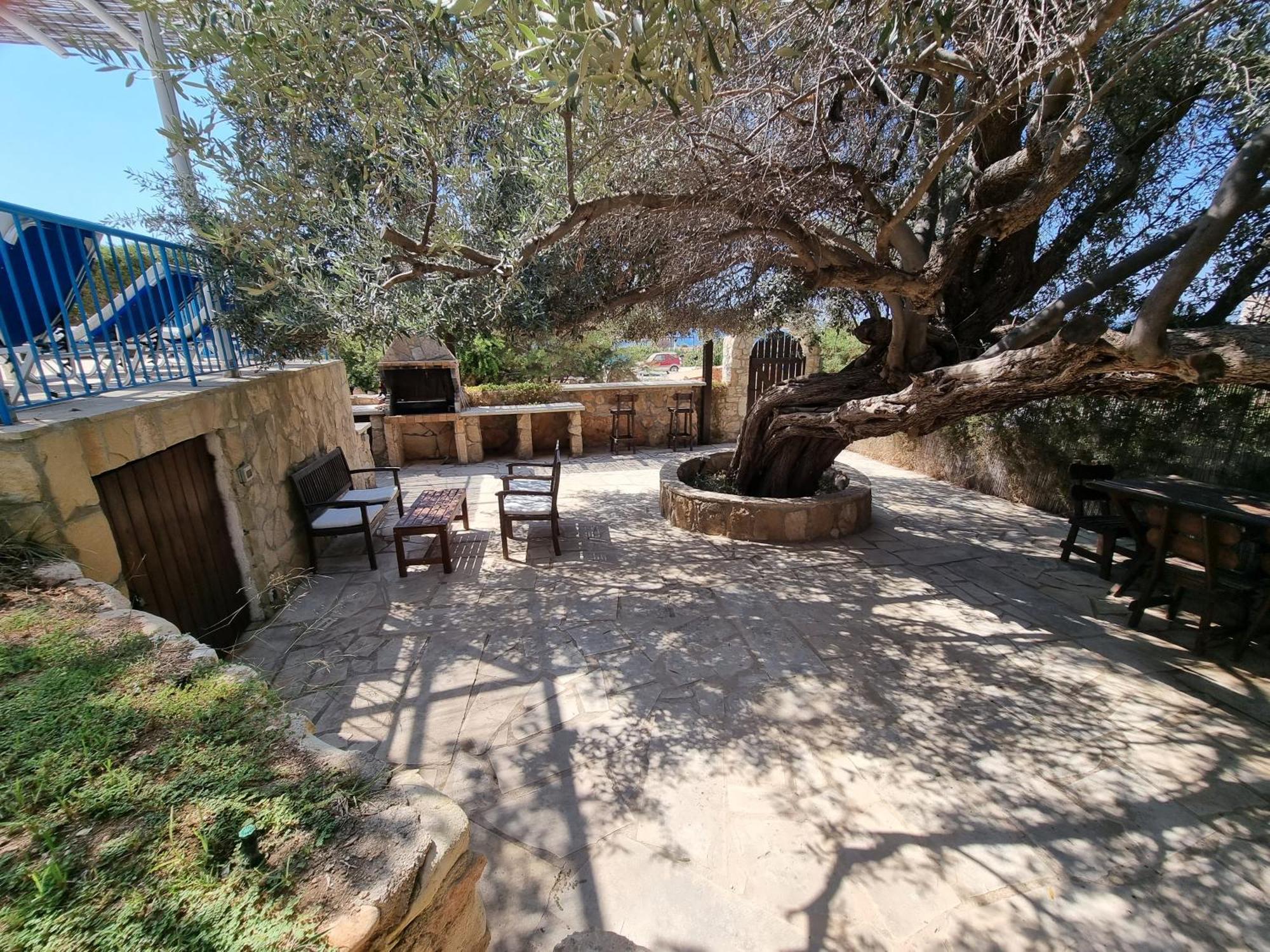 Olive Beach Villa 페이야 외부 사진